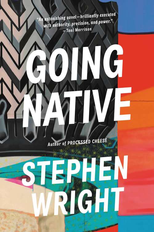 Book cover of Going Native (Vintage Contemporaries Ser.)