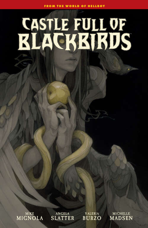 Book cover of Castle Full of Blackbirds