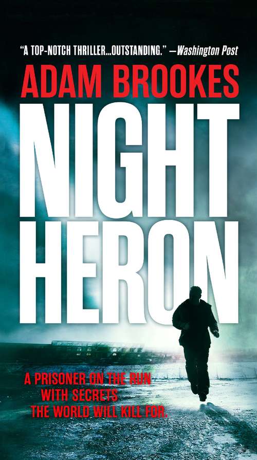 Book cover of Night Heron