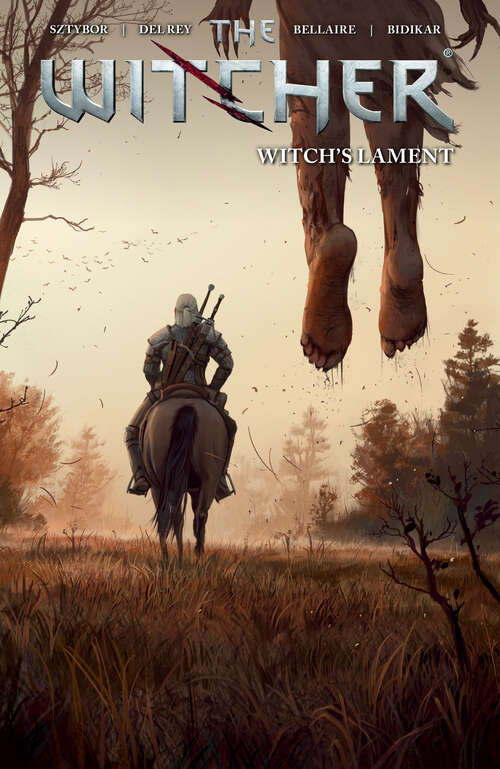 Book cover of The Witcher Volume 6: Witch's Lament