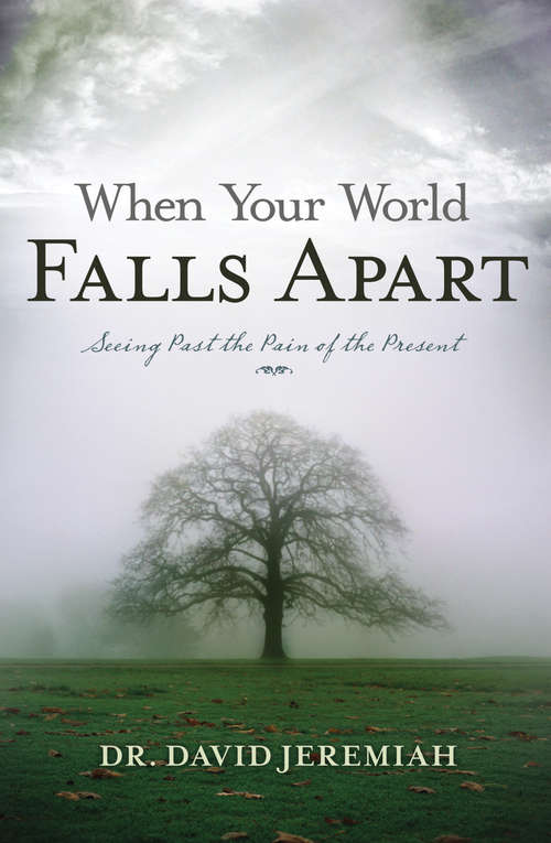 Book cover of When Your World Falls Apart