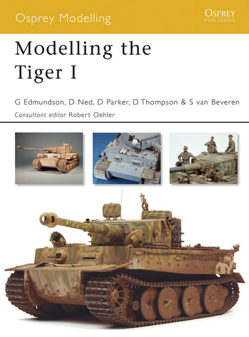 Book cover of Modelling the Tiger I