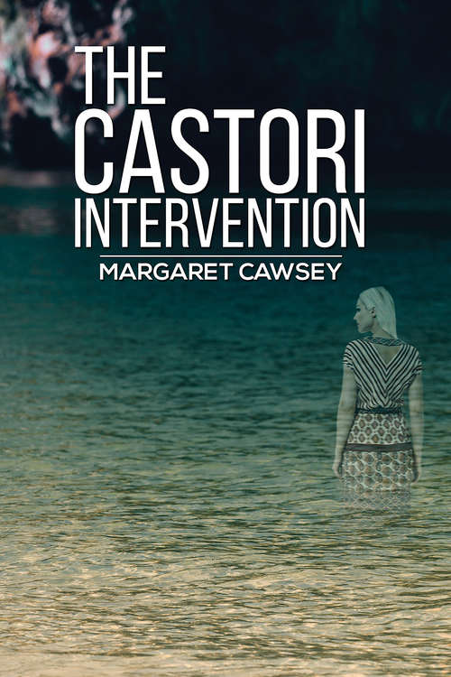 Book cover of The Castori Intervention