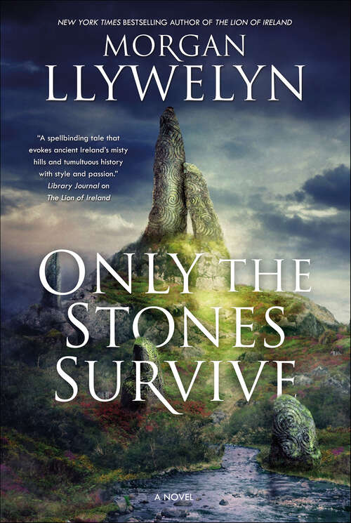 Book cover of Only the Stones Survive: A Novel