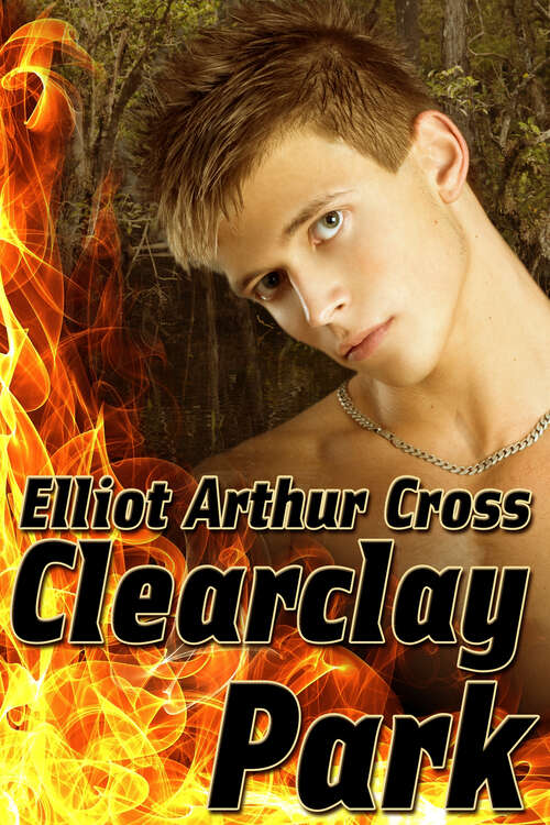 Book cover of Clearclay Park (Demonic Survivors #3)