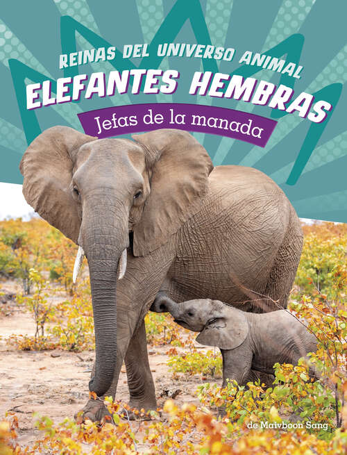 Book cover of Elefantes hembras