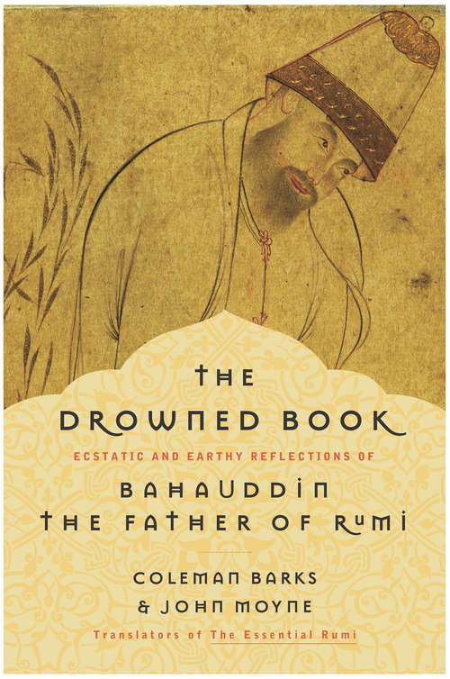 Book cover of The Drowned Book