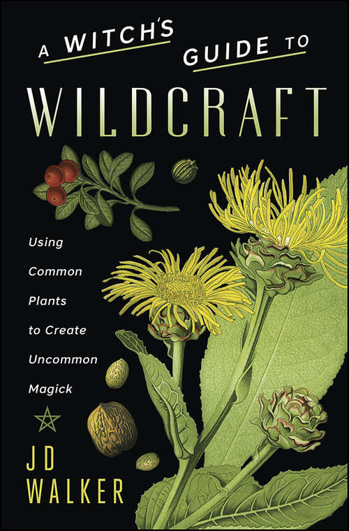 Book cover of Witch's Guide to Wildcraft: Using Common Plants to Create Uncommon Magick