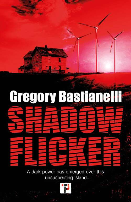 Book cover of Shadow Flicker