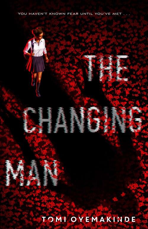 Book cover of The Changing Man