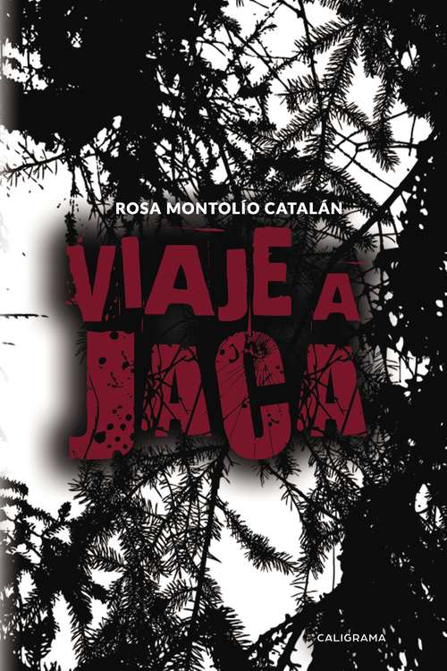 Book cover of Viaje a Jaca