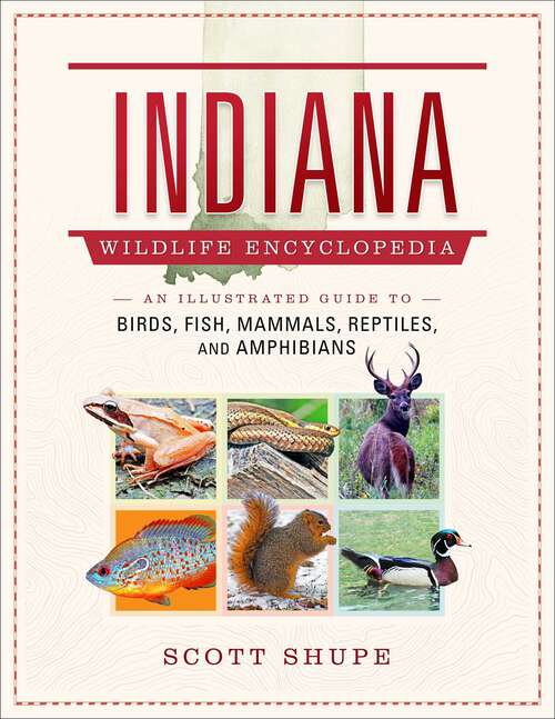 Book cover of Indiana Wildlife Encyclopedia: An Illustrated Guide to Birds, Fish, Mammals, Reptiles, and Amphibians (Wildlife Encyclopedias)