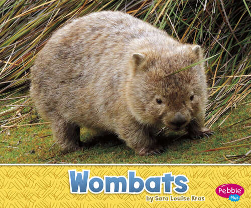 Book cover of Wombats (Australian Animals Ser.)