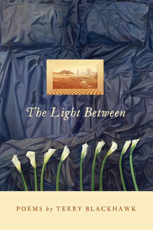 Book cover of The Light Between