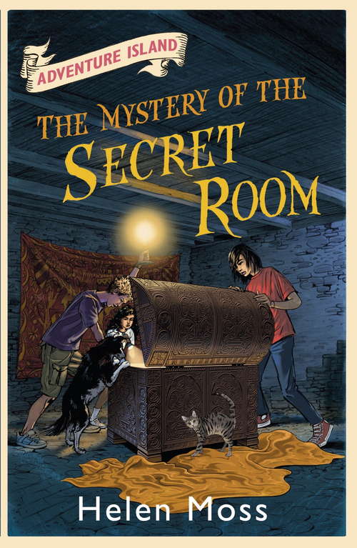 Book cover of The Mystery of the Secret Room: Book 13