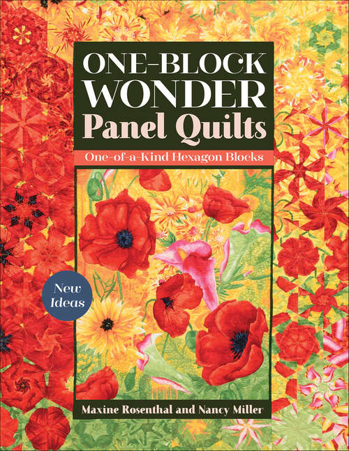 Book cover of One-Block Wonder Panel Quilts: New Ideas; One-of-a-Kind Hexagon Blocks