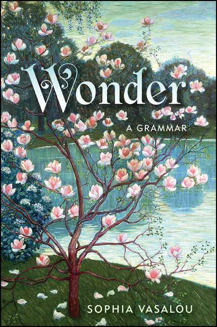 Book cover of Wonder: A Grammar