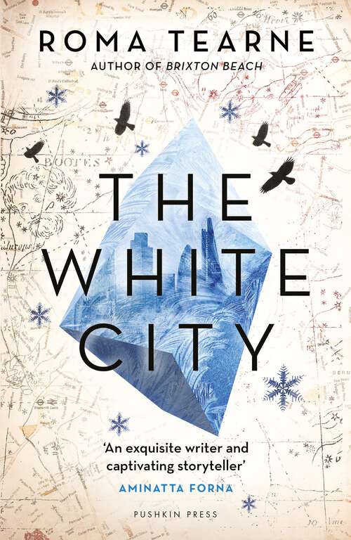 Book cover of The White City