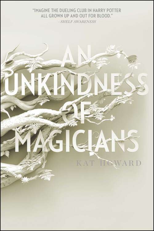 Book cover of An Unkindness of Magicians (Unseen World, The #1)
