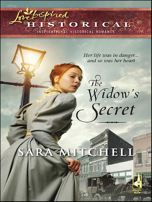 Book cover of The Widow's Secret