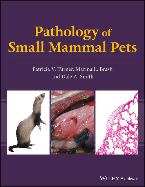 Book cover of Pathology of Small Mammal Pets