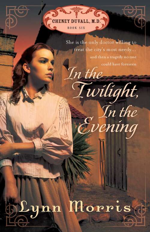 Book cover of In the Twilight, In the Evening (Cheney Duvall, M. D.  Ser. #6)