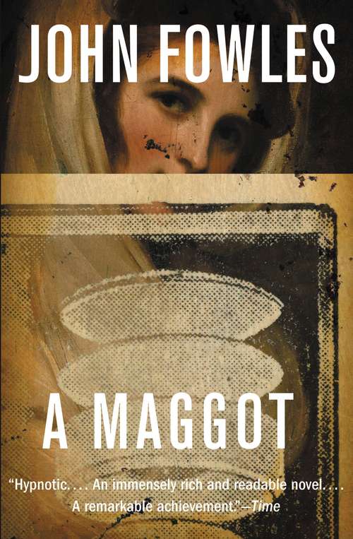 Book cover of A Maggot