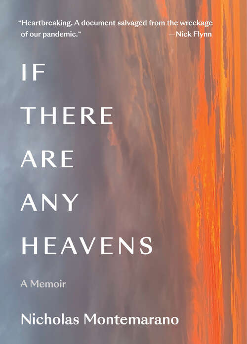 Book cover of If There Are Any Heavens: A Memoir