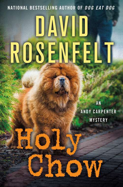 Book cover of Holy Chow: An Andy Carpenter Mystery (An Andy Carpenter Novel #25)