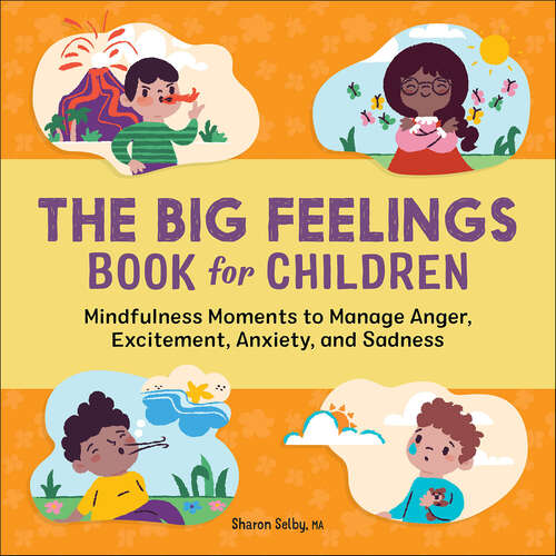 Book cover of The Big Feelings Book for Children: Mindfulness Moments to Manage Anger, Excitement, Anxiety, and Sadness