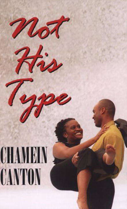 Book cover of Not His Type