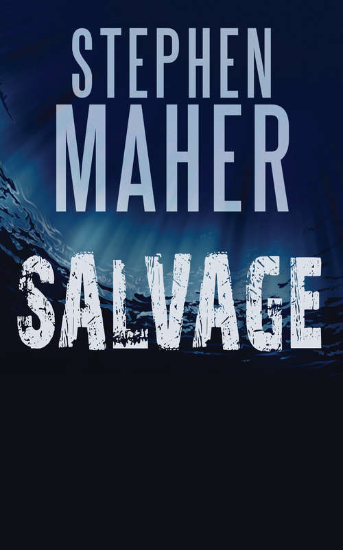 Book cover of Salvage