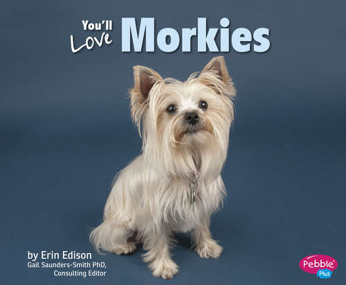 Book cover of Favorite Designer Dogs: You'll Love Morkies