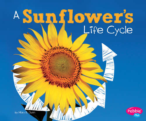 Book cover of A Sunflower's Life Cycle (Explore Life Cycles Ser.)