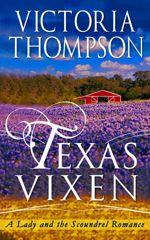 Book cover of Texas Vixen