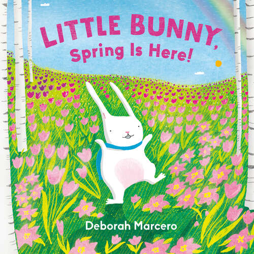 Book cover of Little Bunny, Spring Is Here! (Little Bunny)