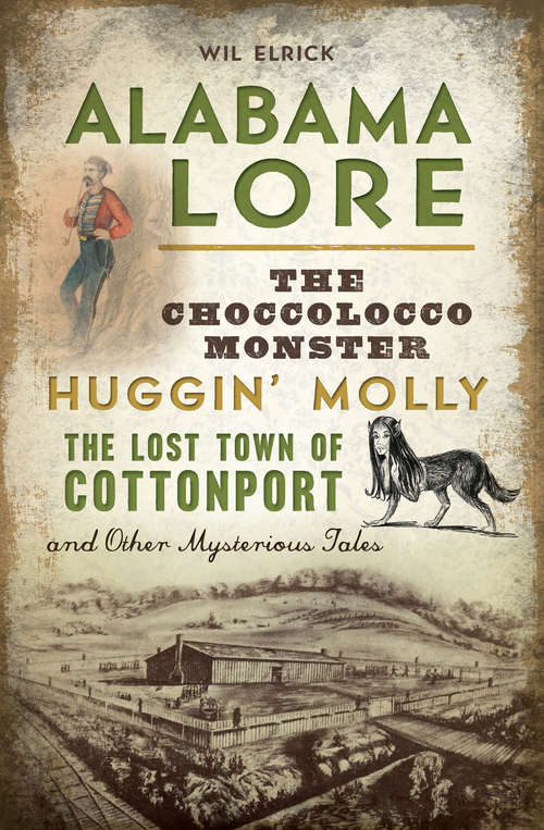 Book cover of Alabama Lore: The Choccolocco Monster, Huggin' Molly, the Lost Town of Cottonport and Other Mysterious Tales