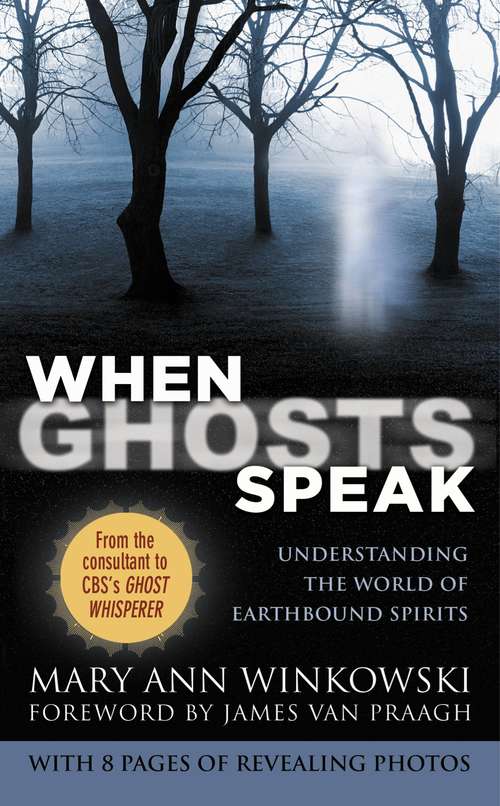 Book cover of When Ghosts Speak: Understanding the World of Earthbound Spirits