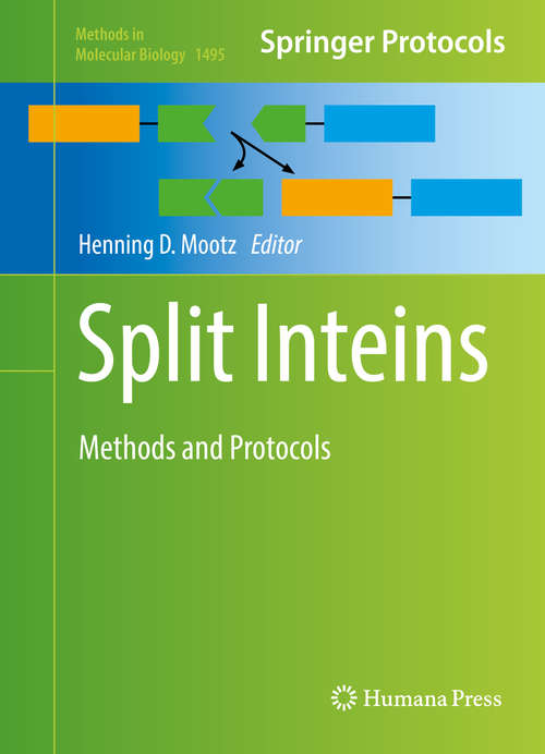 Book cover of Split Inteins