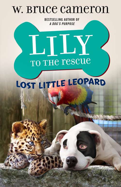 Book cover of Lily to the Rescue: Lost Little Leopard (Lily to the Rescue! #5)