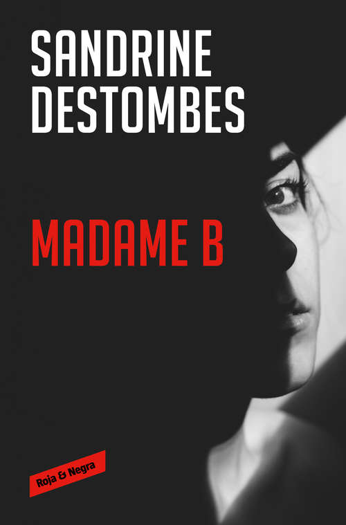 Book cover of Madame B