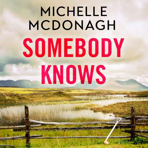 Book cover of Somebody Knows: A gripping, addictive page-turner about dangerous secrets and the lengths people will go to keep them