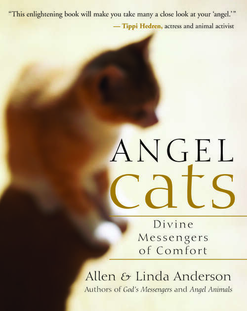 Book cover of Angel Cats: Divine Messengers of Comfort