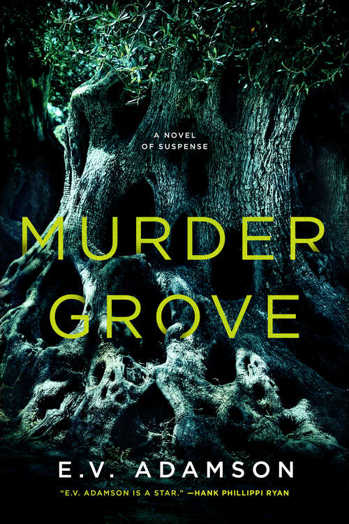 Book cover of Murder Grove