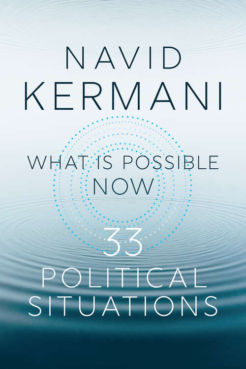 Book cover of What is Possible Now: 33 Political Situations