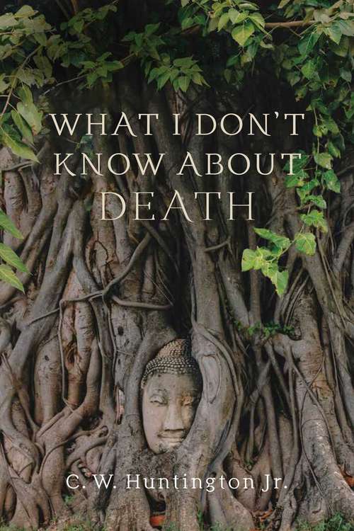 Book cover of What I Don't Know about Death: Reflections on Buddhism and Mortality