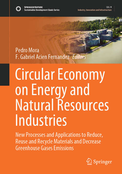 Book cover of Circular Economy on Energy and Natural Resources Industries: New Processes and Applications to Reduce, Reuse and Recycle Materials and Decrease Greenhouse Gases Emissions (2024) (Sustainable Development Goals Series)