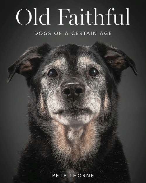 Book cover of Old Faithful: Dogs of a Certain Age