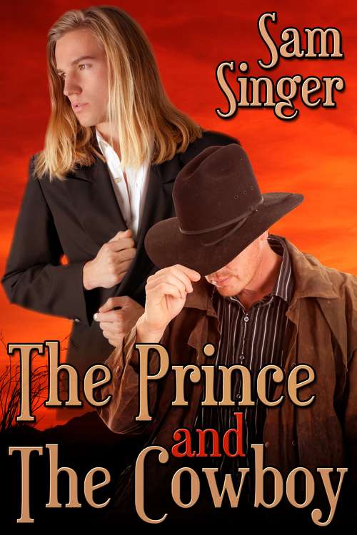 Book cover of The Prince and the Cowboy