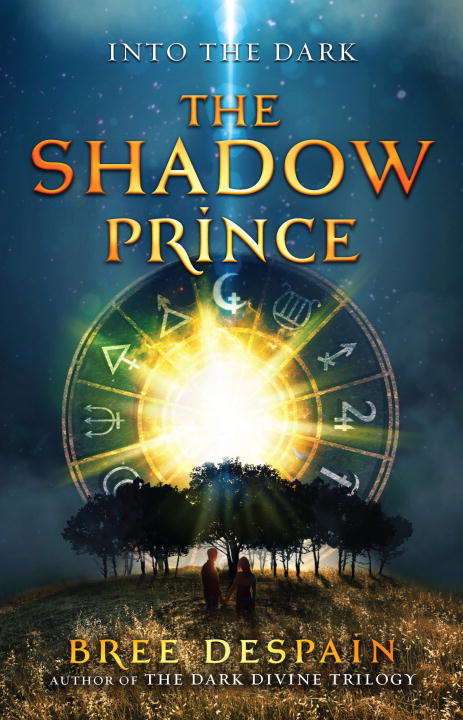 Book cover of Into the Dark Book #1: The Shadow Prince